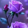 thispurple1222