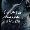 user8502666677113