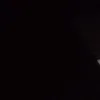svs_laura1