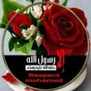 jehad_shabatat