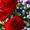 azan.malik6281