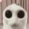 yyoaale