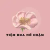 tiemhoanocham