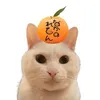 nakanolemon