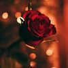 3azf_6f