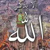 zuhairzt8