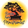 bonsai.para.principiante