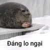 sucabilat