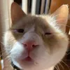 _tientaidanhvong_2612