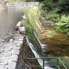 marzenamrzena