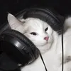 ♪ 𝐥𝐲𝐫𝐢𝐜𝐬𝐮𝐥𝐲𝐚 ♪