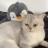 foxknaul0
