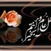 donky123456789