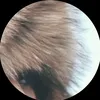 thatswottamean_