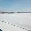 zbigniewnowakows27