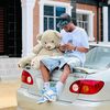 ilovevado