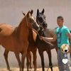 abdelbast135
