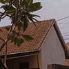 bayudwi357