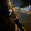 oum_salsaabil