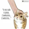 evaferreirasimes