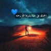 abali335