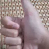 luyen.nguyen205
