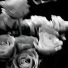 valenchu_okk81