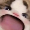 plumpieb