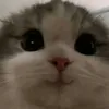 jplayssya