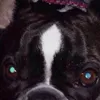 javimuela