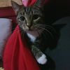malenpetlover5775