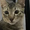 angelf28_