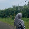 shinta.fuji29