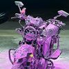 wasia1301