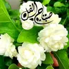 fatimaredaalloush