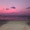 winmareiwinmarwin