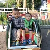 _ansel_irsa