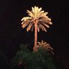 umnaif__