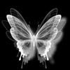 margolang_220112