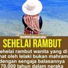 tatihamidl38577