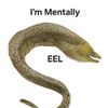 im_mentally_eel