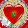 mohamedderkaoui95