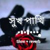 tofayel..bhai