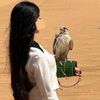 noura_1422