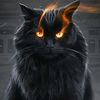 muhamedali_155