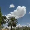 abnalwadi8