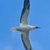 zxyfgh17