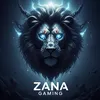 zanagaming7