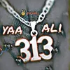yaa_ali_313