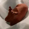 drauunes